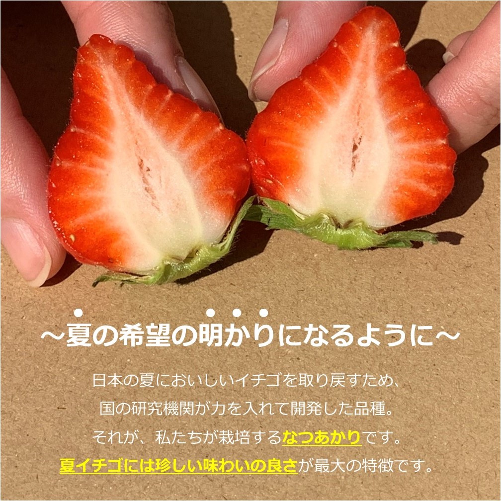 新鮮自家製いちごジャム